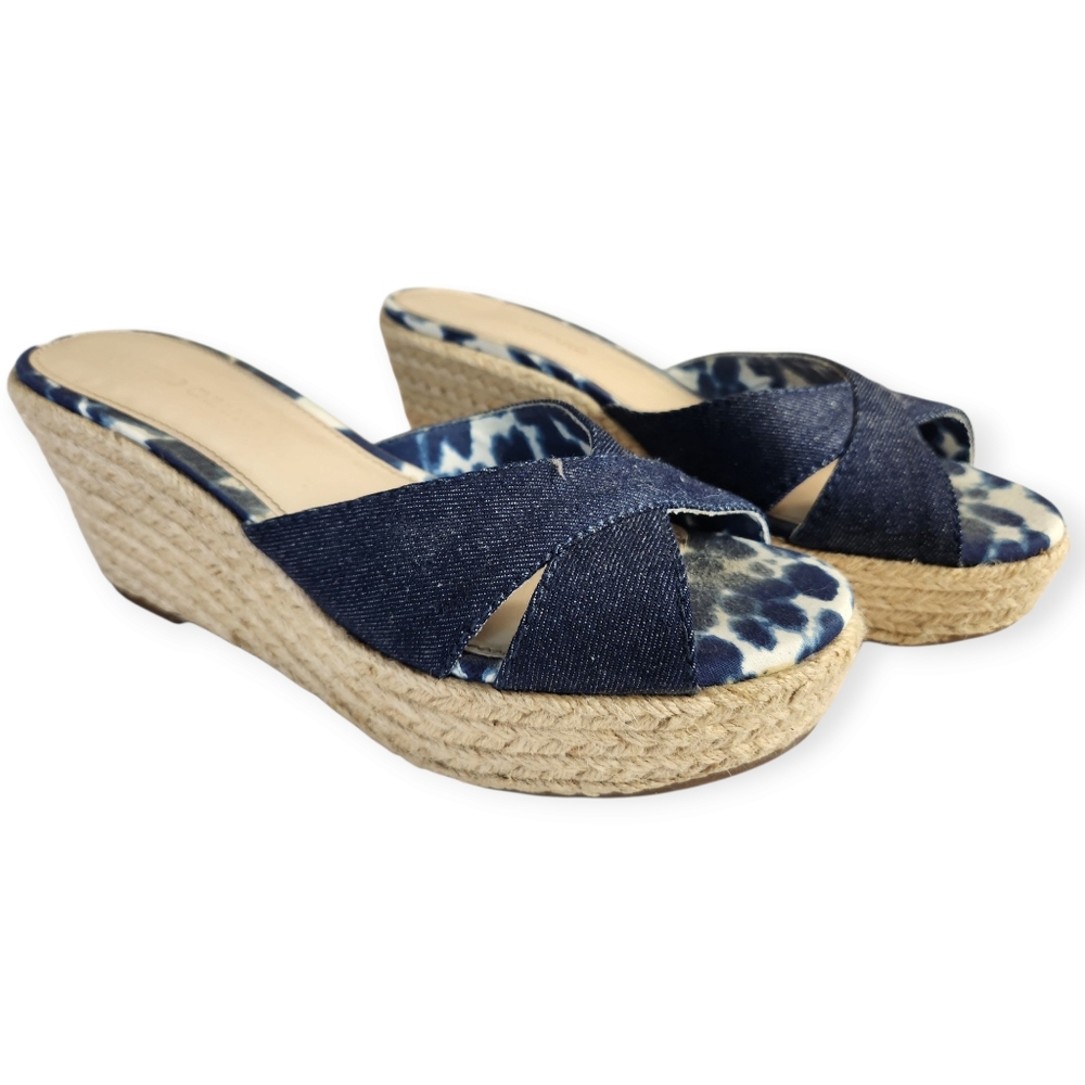 Arturo Chiang Blue Denim Espadrille Wedge Sandals Size 9B